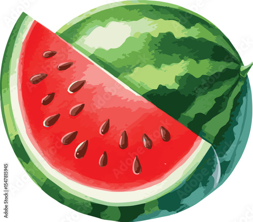 Vector watercolor painted illustration of a watermelon