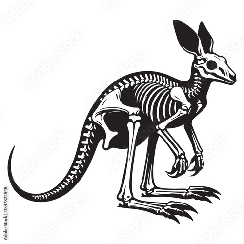Echoes of the outback – Kangaroo skeleton silhouette in stylized Kangaroo skeleton vector – Kangaroo skeleton illustration

