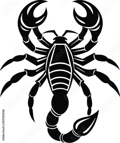 black scorpion isolated on white