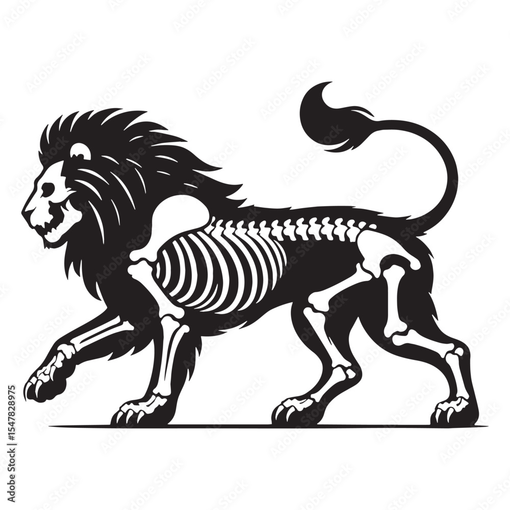 Fototapeta premium Silent bones of the wild – Lion skeleton silhouette with cleanly structured Lion skeleton vector – Lion skeleton illustration