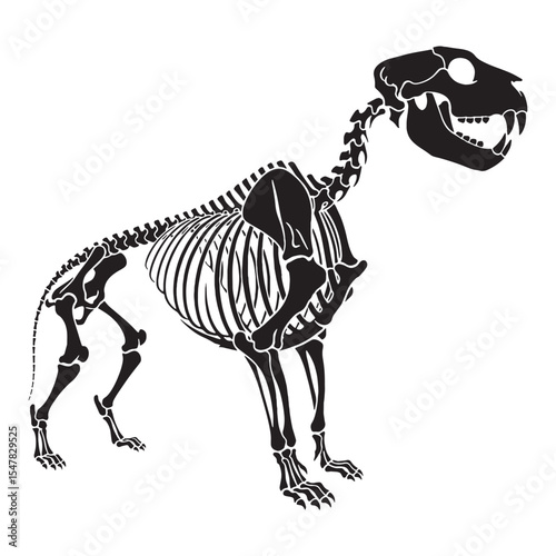 Fossilized strength and grace – Lion skeleton silhouette crafted into fine Lion skeleton vector – Lion skeleton illustration

