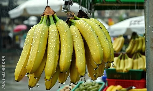 Bunches of bananas in the rain