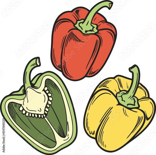 Illustrated Red, Green, and Yellow Bell Peppers with Detailed Textures on White Background