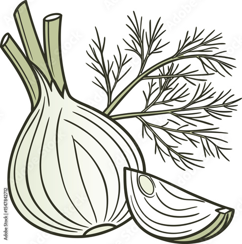 Illustrated Fresh Fennel Bulb with Slice and Fronds in Detailed Artistic Style on White Background