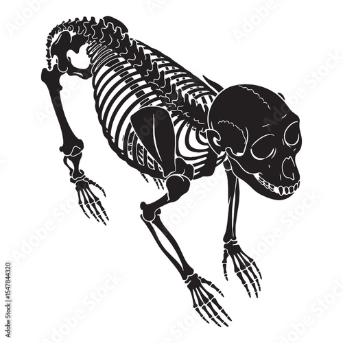 Anatomy of agility – Monkey skeleton silhouette developed in minimalist Monkey skeleton vector – Monkey skeleton illustration

