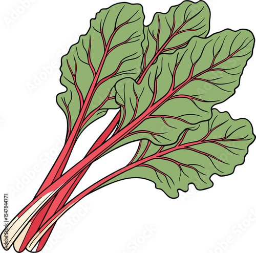 Illustration of Fresh Swiss Chard with Vibrant Red Stems Isolated on White Background Perfect for Culinary and Nutrition Concepts