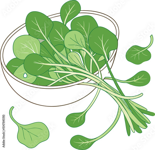 Fresh Green Watercress Illustration in a Bowl with Leaves Perfect for Culinary Healthy Eating and Salad Concepts Isolated on White Background