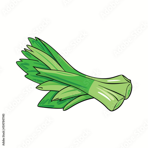 Fresh green leeks vegetable isolated on white background in vector illustration