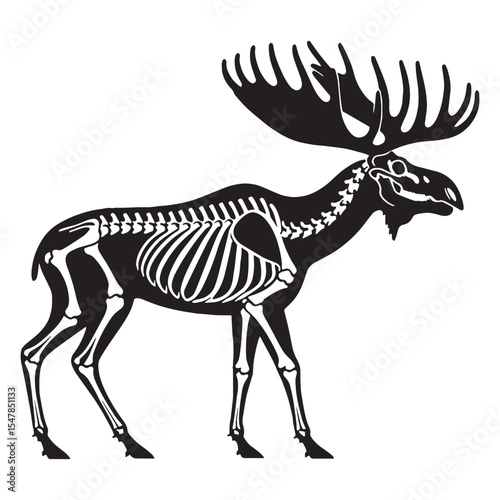 The towering herbivore reimagined – Moose skeleton silhouette with stylized Moose skeleton vector – Moose skeleton illustration

