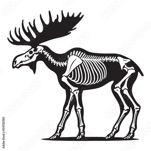 Natural majesty in skeletal form – Moose skeleton silhouette defined by clean Moose skeleton vector – Moose skeleton illustration

