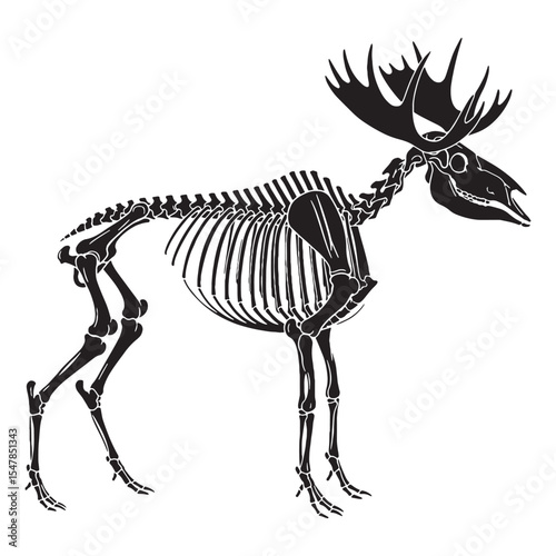 A study in strength and symmetry – Moose skeleton silhouette paired with refined Moose skeleton vector – Moose skeleton illustration

