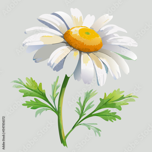 Single White Daisy Flower with Green Leaves Illustration