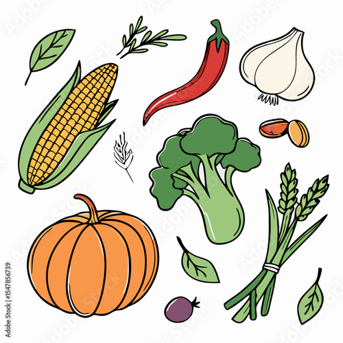 Hand-drawn Vegetables & Herbs Collection: Corn, Pumpkin, Broccoli, Garlic, Chili