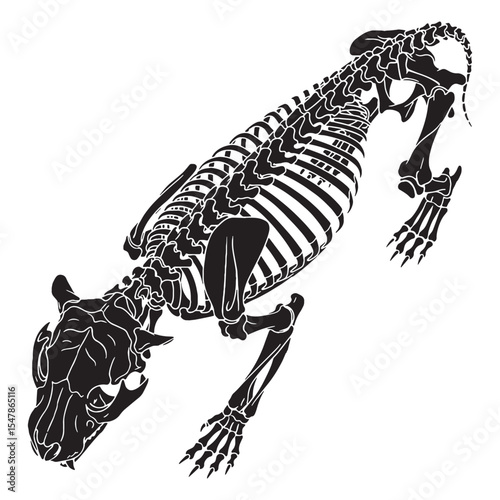 Raw strength in skeletal symmetry – Tiger skeleton silhouette refined into clear Tiger skeleton vector – Tiger skeleton illustration

