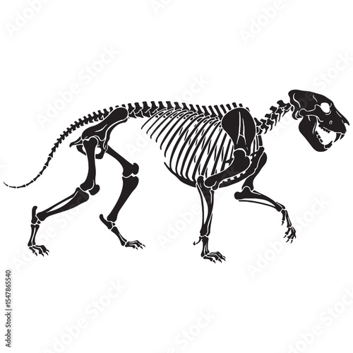 The structure of a jungle king – Tiger skeleton silhouette shown in striking Tiger skeleton vector – Tiger skeleton illustration

