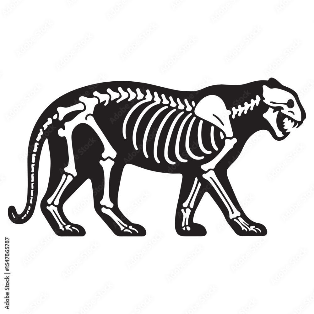 Fototapeta premium Echoes of the wild – Tiger skeleton silhouette crafted with precision in Tiger skeleton vector – Tiger skeleton illustration