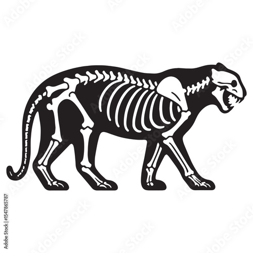 Echoes of the wild – Tiger skeleton silhouette crafted with precision in Tiger skeleton vector – Tiger skeleton illustration

