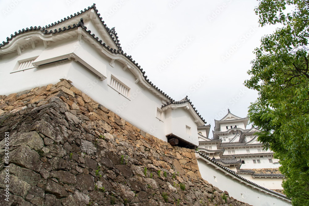 Obraz premium 世界遺産の姫路城