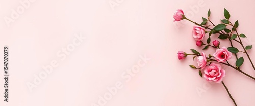 Soft blush pink textured backdrop, subtle grain, shade, simple