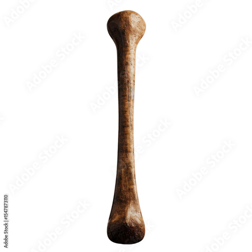 Realistic depiction of long, weathered bone, showcasing its natural texture and color. This bone could represent animal or archaeological find photo