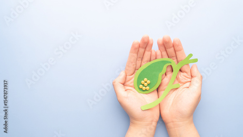 Gallbladder with gallstones (cholelithiasis) anatomy made from paper on blue background. Gallstone blocks the flow of bile through your biliary system causing cholecystitis, pancreatitis, cholangitis.