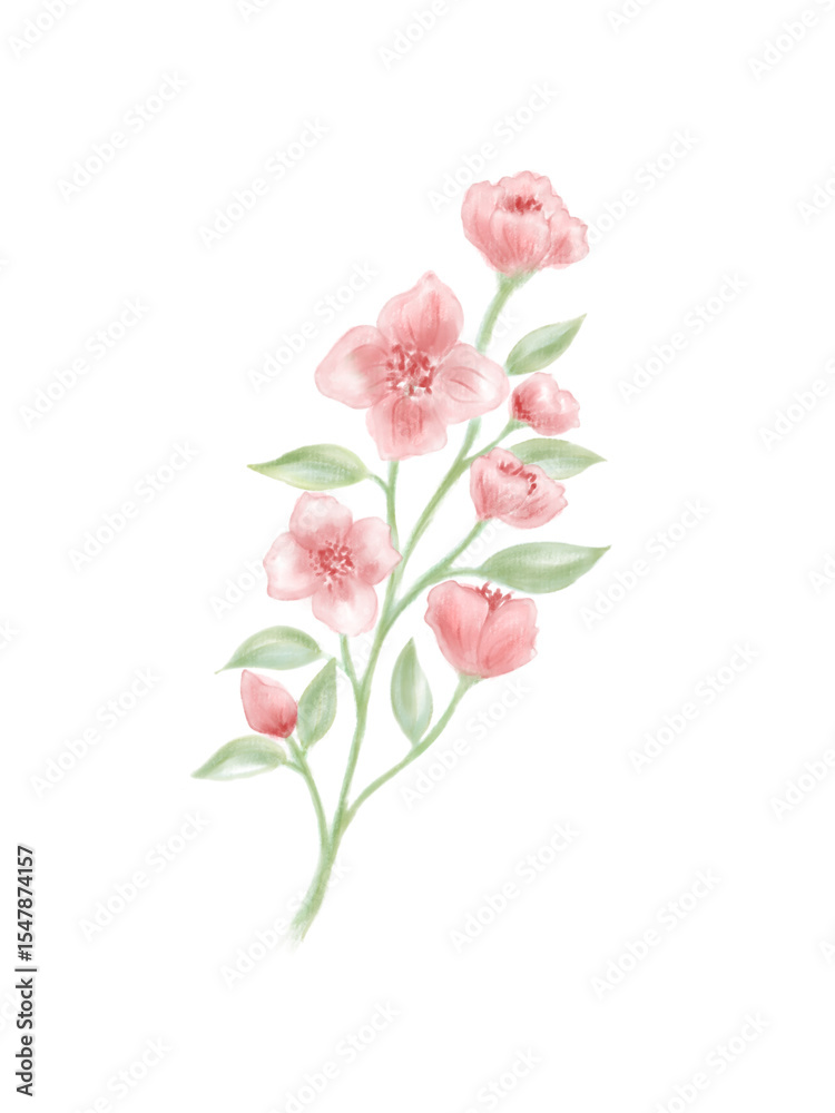 Fototapeta premium pink flower isolated on white Flower Element 