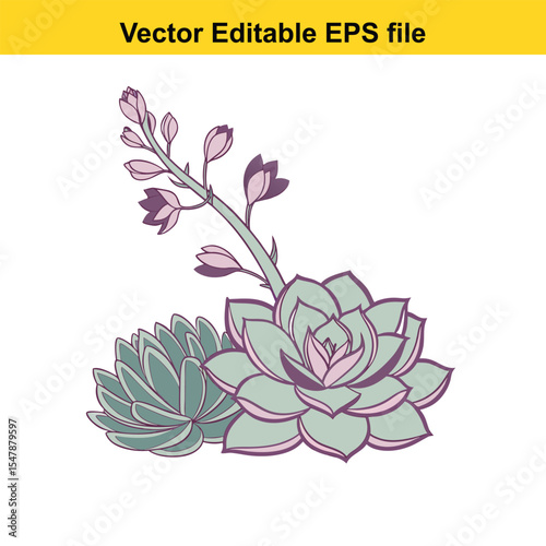 Hand Drawn Succulent Plant Illustration Artful Floral Display Featuring Lush Greenery and Delicate Blooms Botanical Elegance in a Stylishly Presented Composition Nature's Artistic Beauty