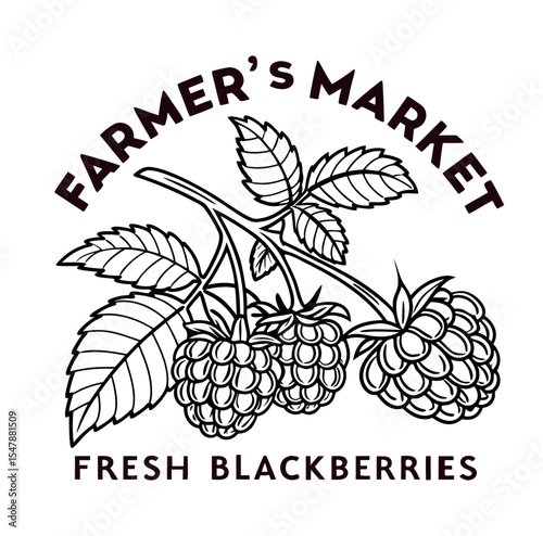 Farmer's Market Fresh Blackberries T-Shirt Design - Hand-Drawn Outline Vector Illustration of Fruit Branch
