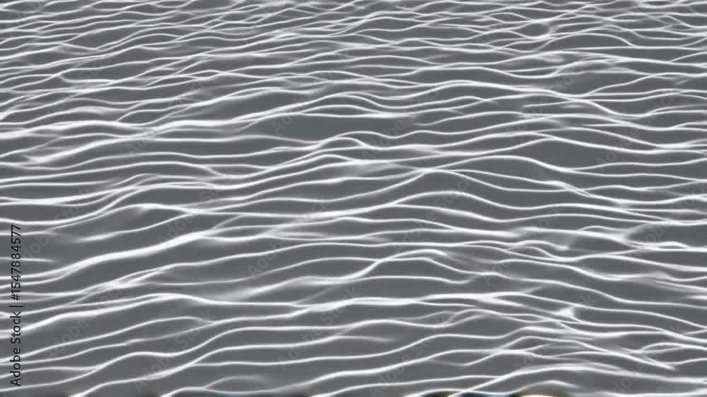 Seamless abstract animation of soft white flowing wave lines on a gray background. Elegant motion pattern resembling fluid energy or digital surface ripples. Perfect for modern, minimalist, and tech-i