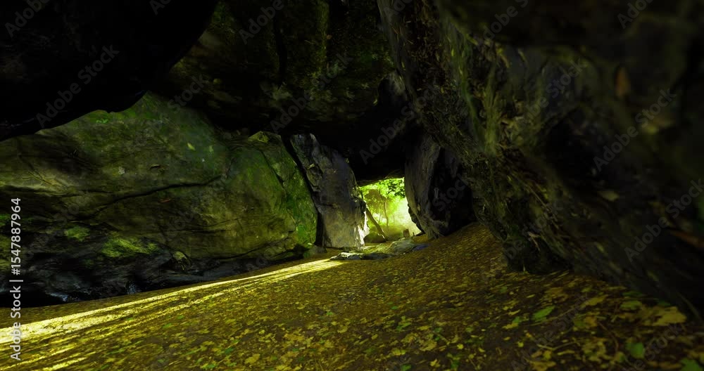 A tranquil cave reveals a carpet of golden leaves on the ground, while sunlight streams through an opening, illuminating the rocky interior and surrounding greenery.