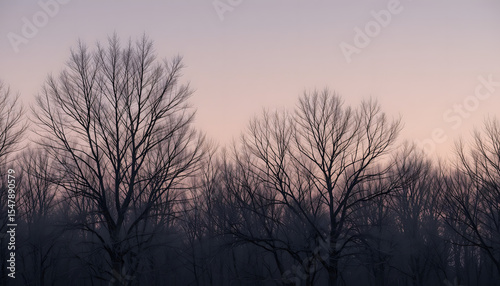 Title: Silhouetted Bare Trees Against Twilight Pink and Purple Sky, Concept of Winter Tranquility, Nature’s Transition, and Atmospheric Minimalist Landscape