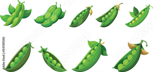 Fresh green peas set vector illustration