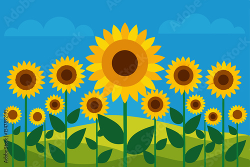 Bright yellow sunflowers blossom under a blue summer sky in a vibrant agricultural field, showcasing nature's seasonal growth