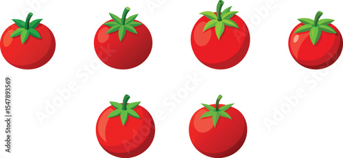 Tomato set vector illustration