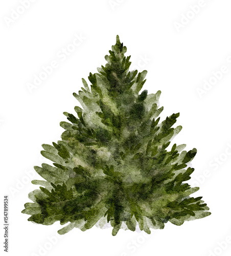 Green spruce Christmas tree vector on white background isolated.