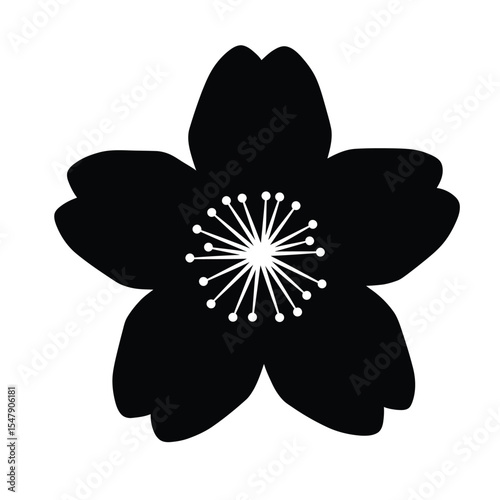 four leaf clover isolated