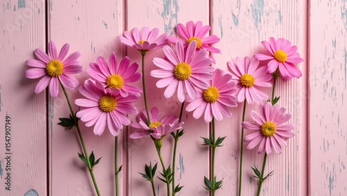 Pink daisies arranged against a rustic pink wooden background