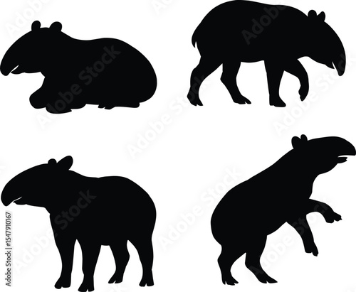 Vector Silhouette of a Tapir