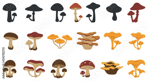 Silhouette and colored mushroom illustrations collection vector illustration