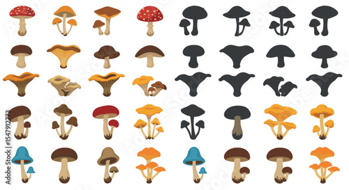 Colorful mushroom varieties with silhouette illustrations vector illustration