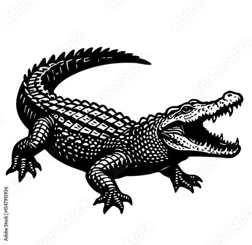 crocodile