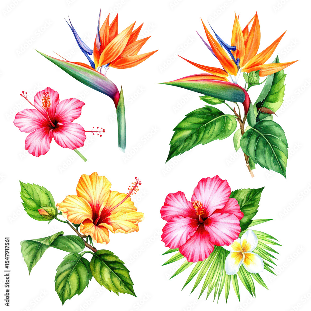 Obraz premium Vibrant collection of detailed tropical flowers including bird of paradise and hibiscus with lush green leaves perfect for botanical illustrations