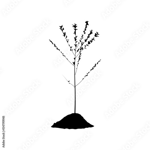 A simple, impactful silhouette of a young tree sapling planted in a mound of soil vector.