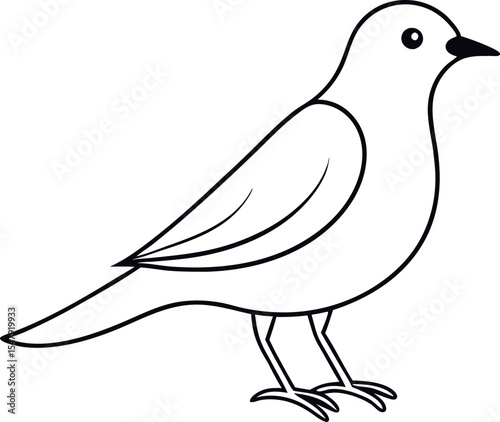 Martin Bird Silhouette Line Drawing Vector Illustration