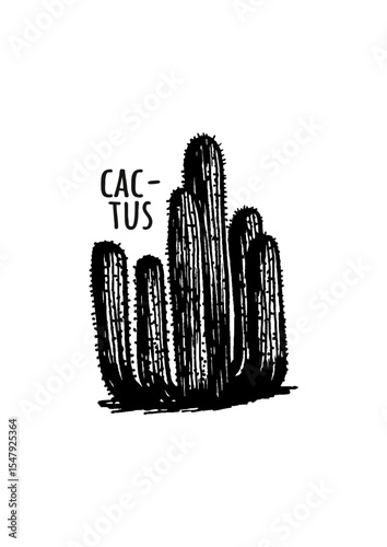 cactus