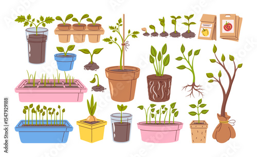 Seeds and seedlings farm, home garden or greenhouse elements set isolated on white background