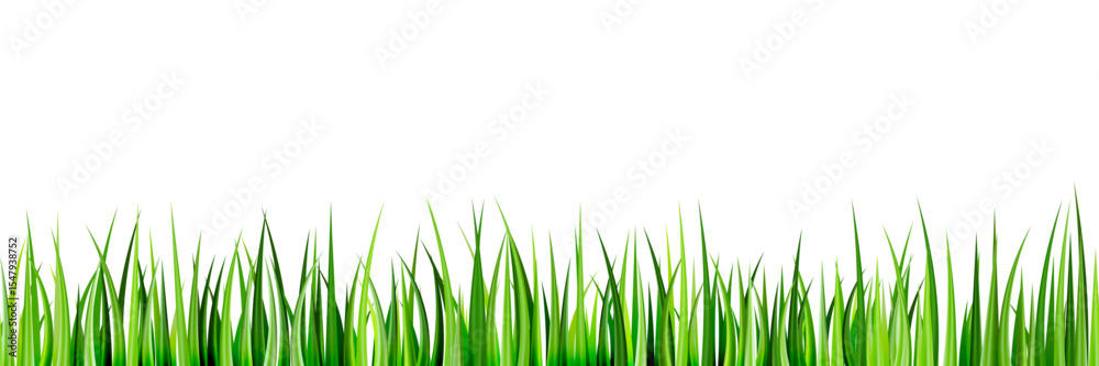 Fototapeta premium Realistic green grass seamless horizontal background. Vector illustration. Summer, spring lawn landscape design element
