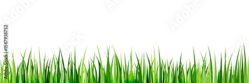 Realistic green grass seamless horizontal background. Vector illustration. Summer, spring lawn landscape design element