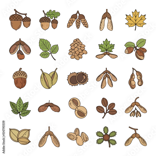 Autumn seeds and nuts botanical nature collection