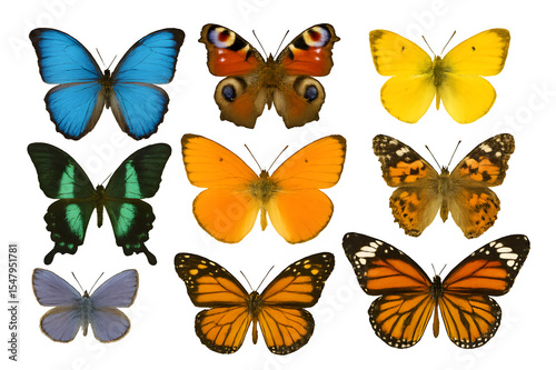 set of colorful butterflies isolated  transparent background 